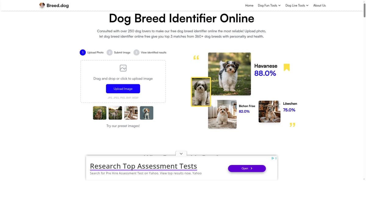 Dog Breed Identifier
