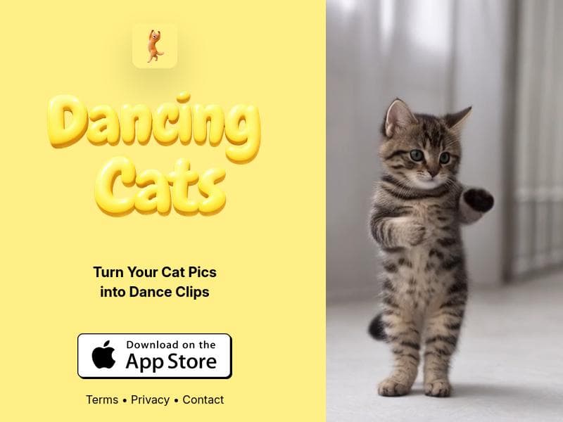 DANCING CATS App