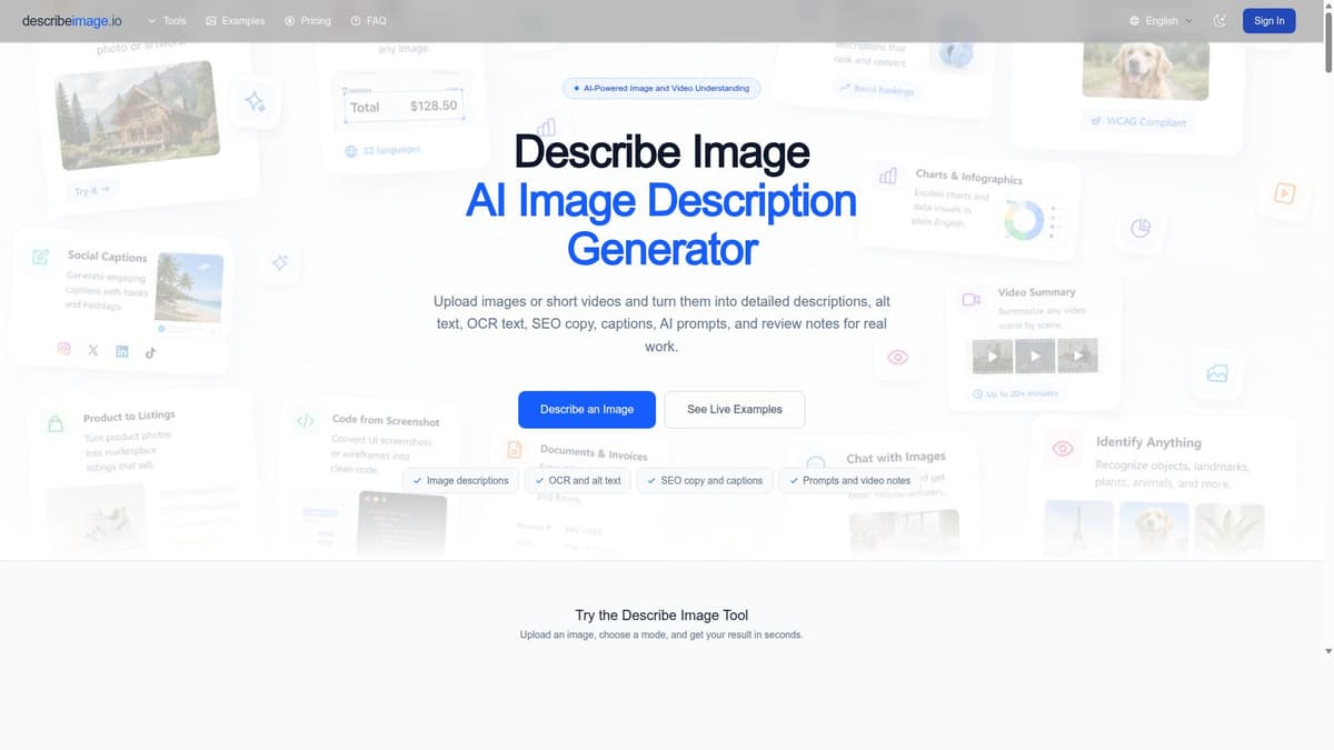 Describe Image