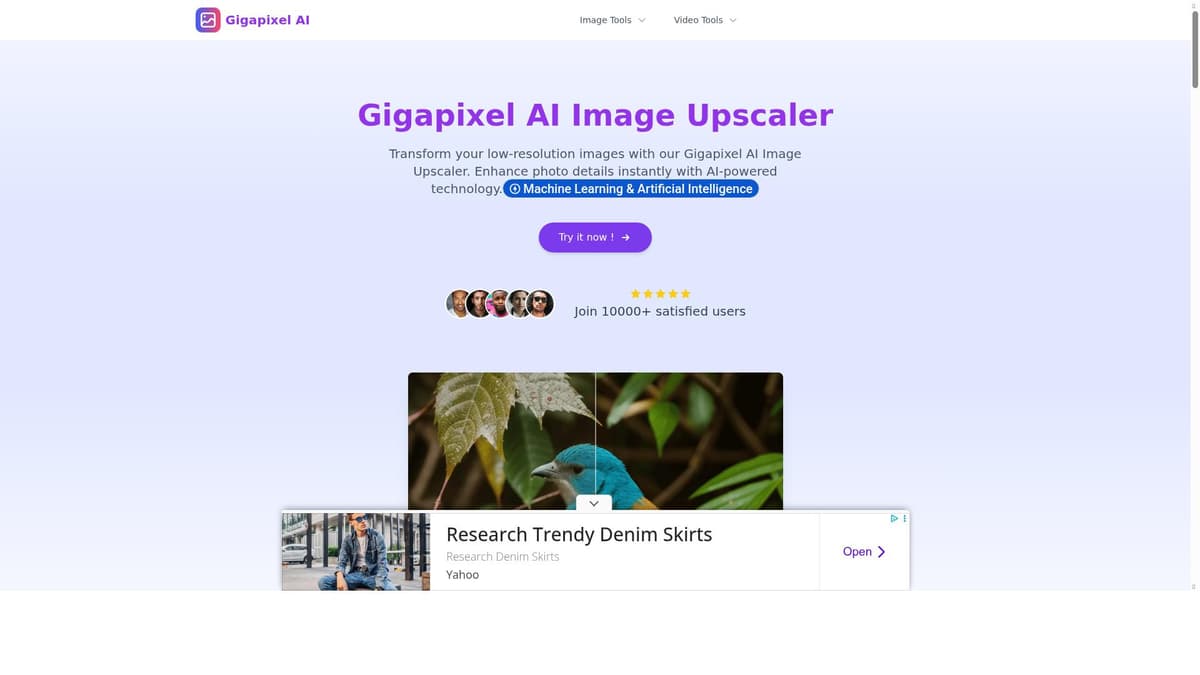 Gigapixel AI Image Upscaler