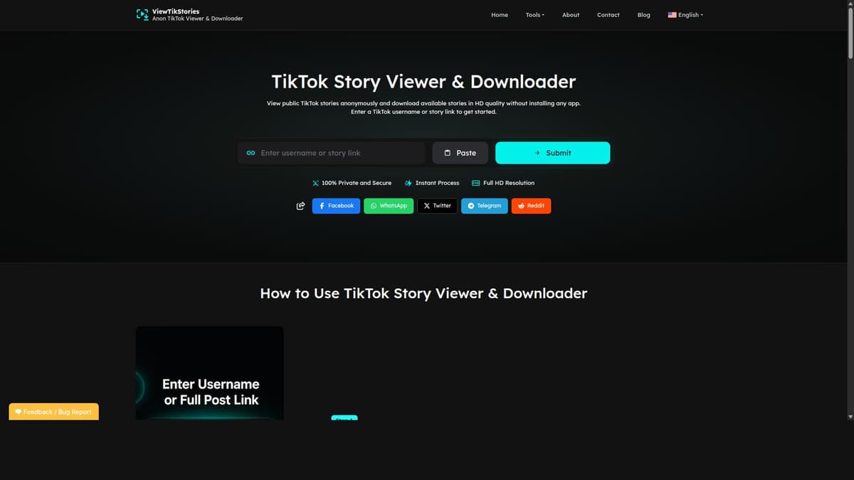 TikTok Story Viewer and Video Downloader