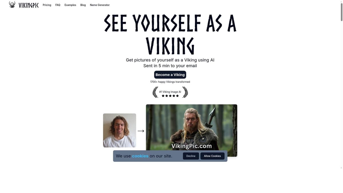 VikingPic