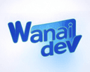 WanAI