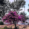user_img