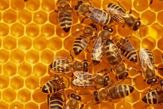 Beehiiv rolls out new creator tools, including webinars and customizable paywalls