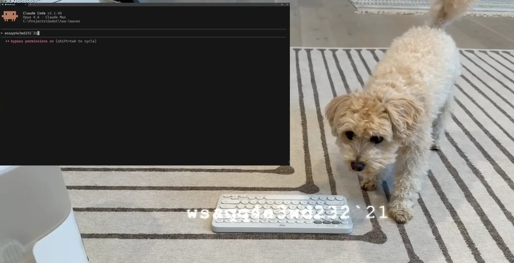 Engineer Teaches His Dog to Vibe Code Games Using Claude Code