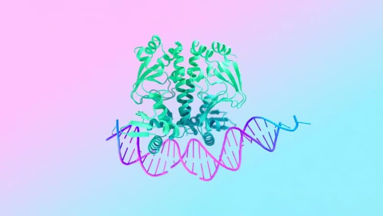 Google DeepMind’s New Tool Maps All 9 Bn DNA Mutations in Humans