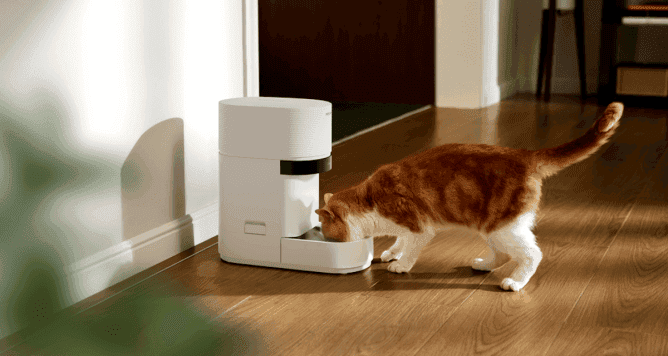 Petlibro’s new AI-powered feeder is a game changer for multi-cat homes