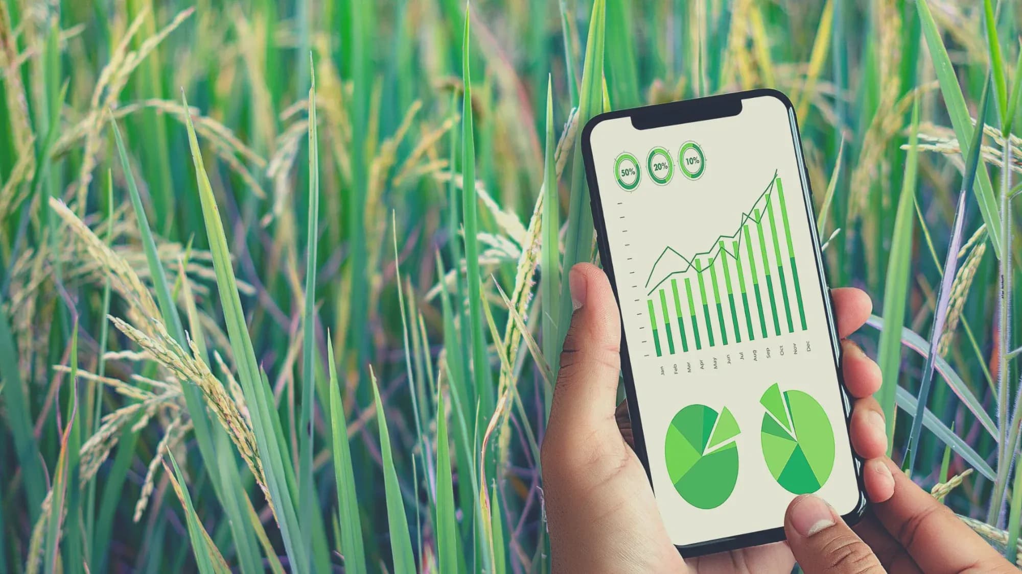 Rajasthan Partners With Wadhwani AI to Deploy AI Tools for Agriculture Services