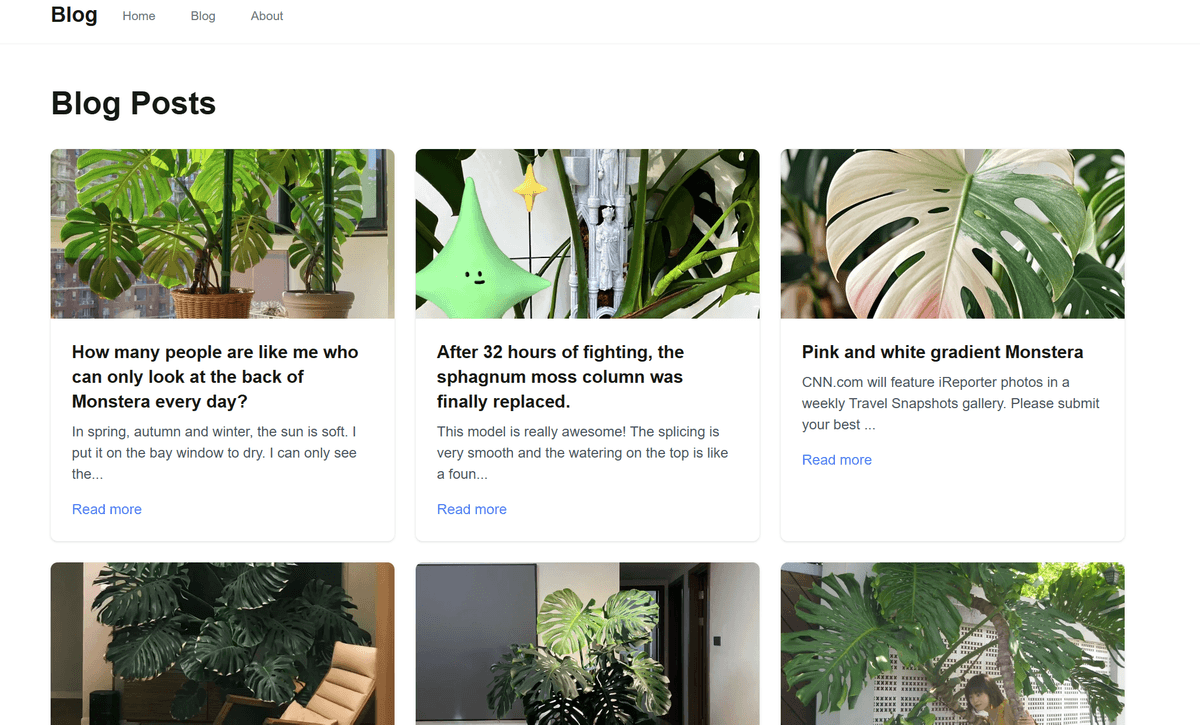 https://monstera-plant.net/