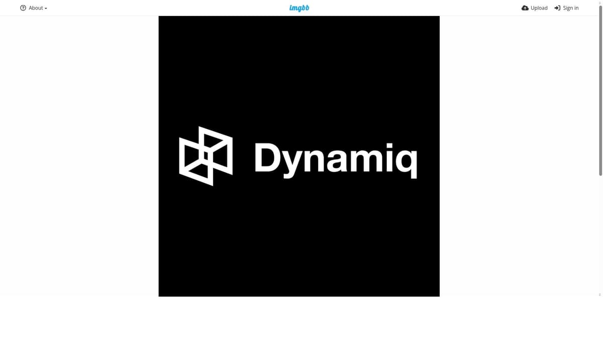 Dynamiq