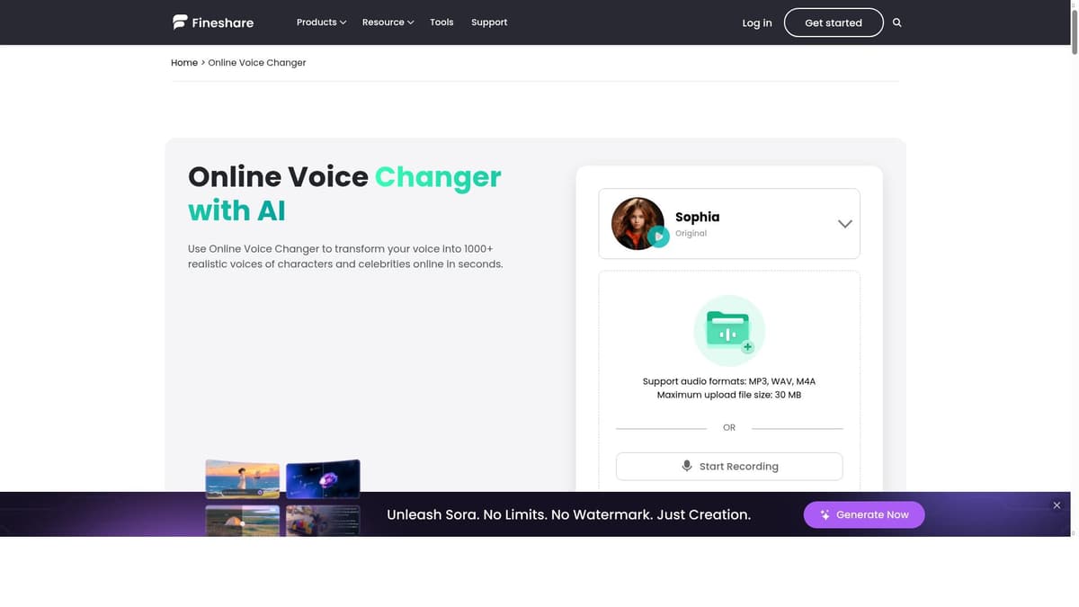 FineShare Online Voice Changer
