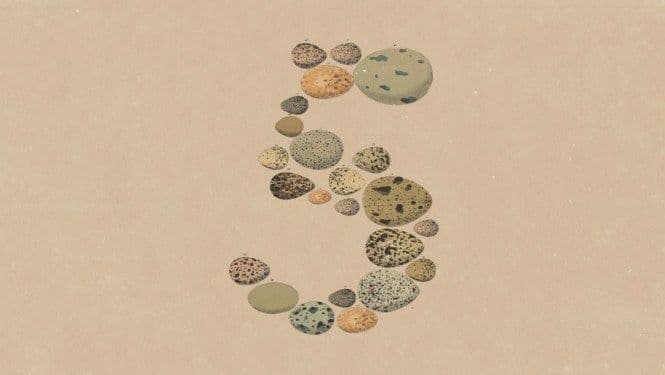 Anthropic launches Opus 5