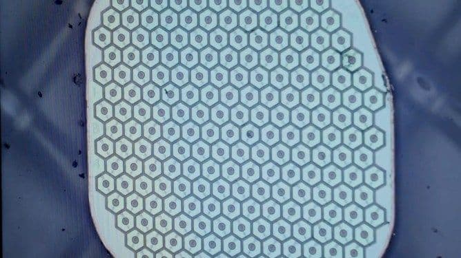 Max Hodak’s Science Corp. is preparing to place its first sensor in a human brain